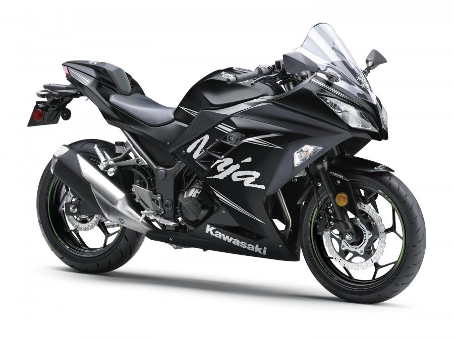 Kawasaki Ninja 300 Winter Test Edition